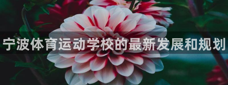 JJB竞技宝官网下载平台APP：宁波体育运动学校的最新发展和