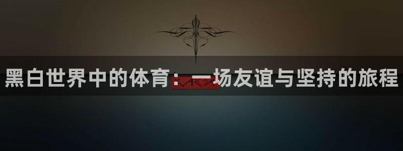 JJB竞技宝官网下载娱乐：黑白世界中的体育：一场友谊与坚持的