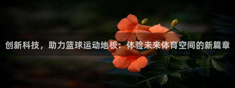 JJB竞技宝官网下载开户：创新科技，助力篮球运动地板