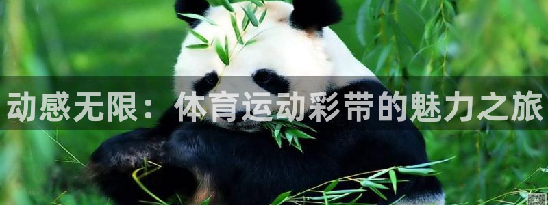 JJB竞技宝官方正版app集团官网首页网址：动感无限