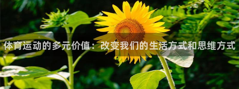 JJB竞技宝官方正版app娱乐平台：体育运动的多元价值：改变