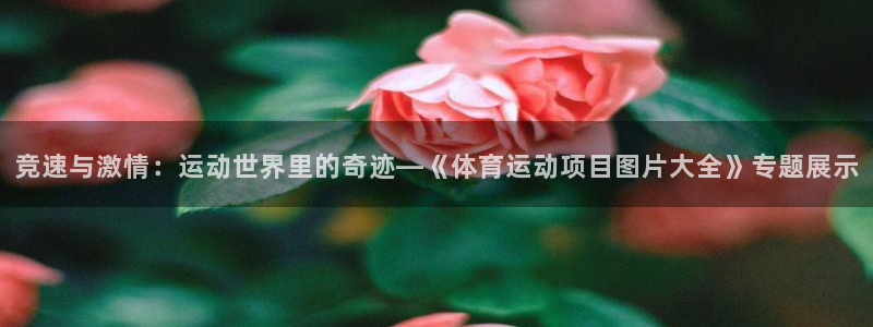 JJB竞技宝官网下载招商电话地址是多少：竞速与激情：运动世界