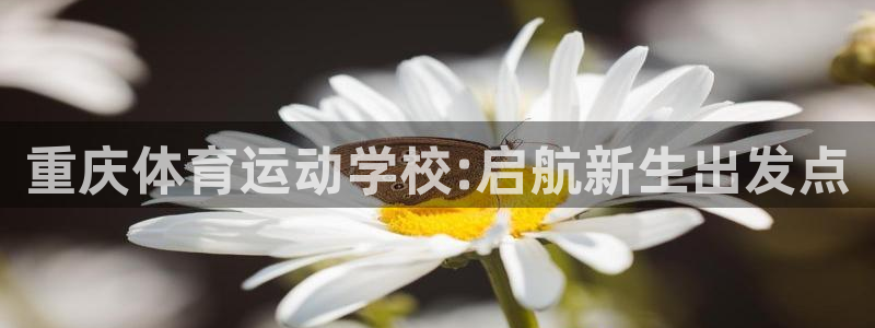 JJB竞技宝官网下载招商电话号码是多少：重庆体育运动