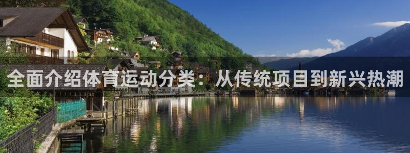 JJB竞技宝官网下载是干嘛的公司：全面介绍体育运动分类：从传