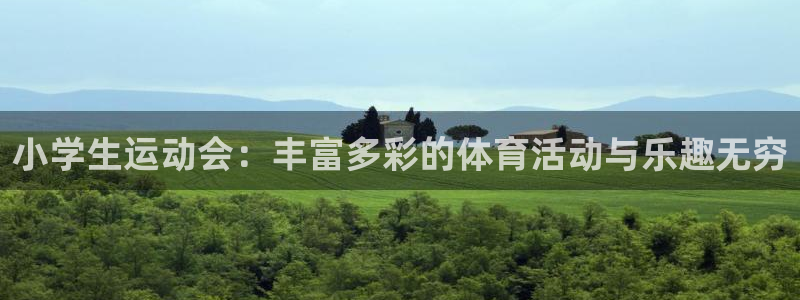 JJB竞技宝官网下载：小学生运动会：丰富多彩的体育活动与乐趣