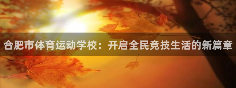 JJB竞技宝官方正版app娱乐首页网站大全:合肥市体育运动学