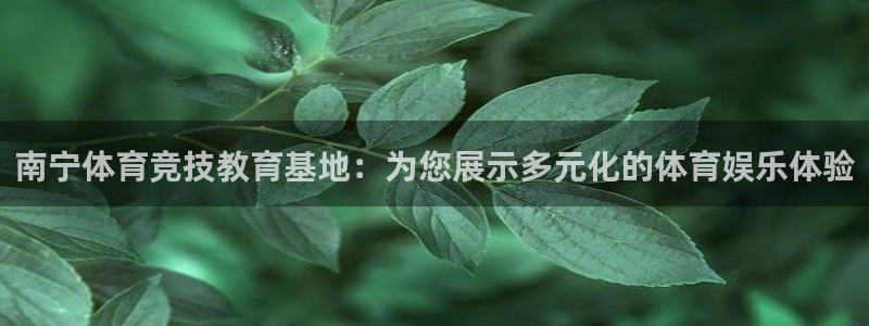 JJB竞技宝官方正版app集团logo:南宁体育竞技教育基地