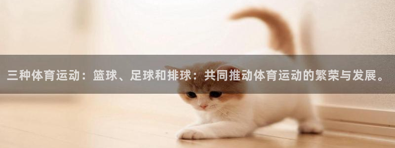 JJB竞技宝官网下载平台:三种体育运动:篮球、足球和排球:共