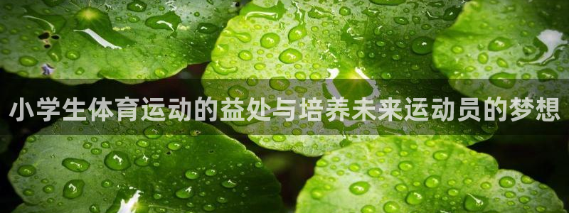 注册JJB竞技宝官方正版app:小学生体育运动的益处与培养未